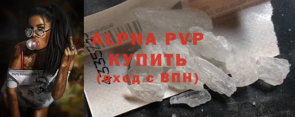 гашик Мегион