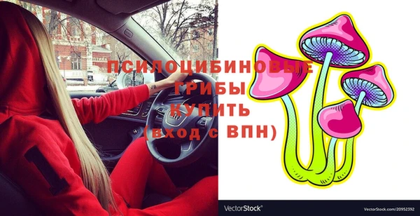 стафф Новочеркасск