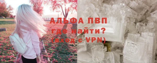 гашик Мегион