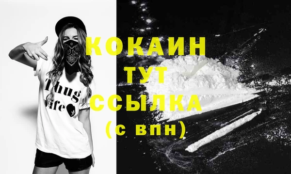 гашик Мегион