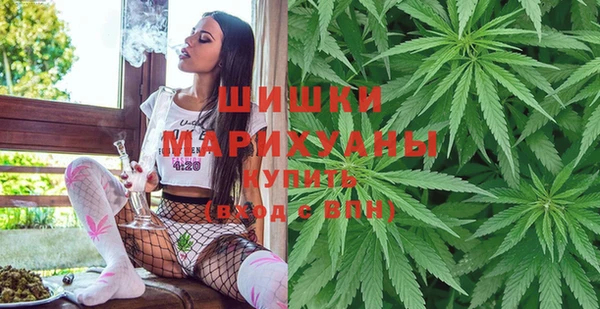 гашик Мегион