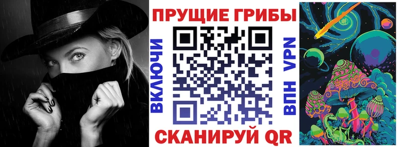 где купить наркотик  Краснодар  Галлюциногенные грибы Psilocybine cubensis 